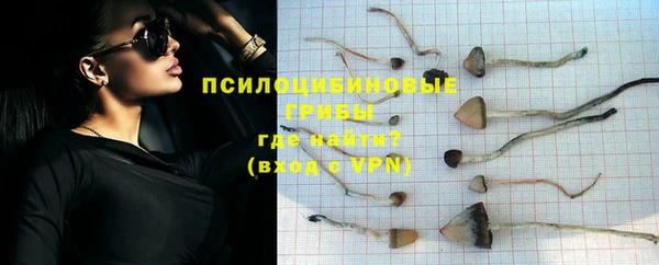 PSILOCYBIN Верхнеуральск